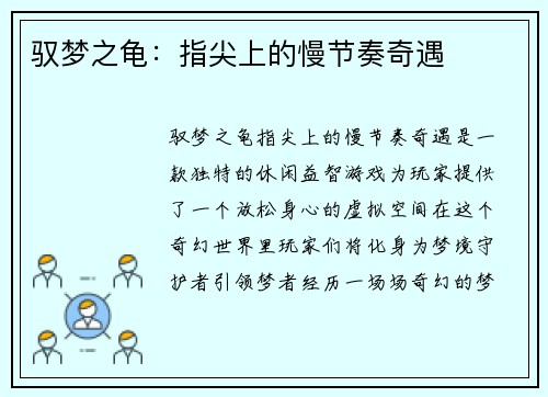 驭梦之龟：指尖上的慢节奏奇遇