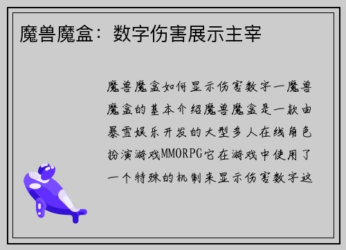 魔兽魔盒：数字伤害展示主宰